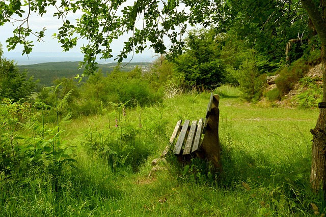 得以提升 得以提升