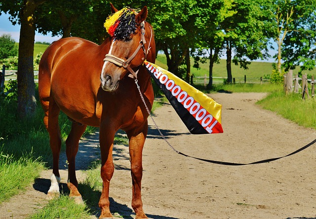 重要比赛中 重要比赛中