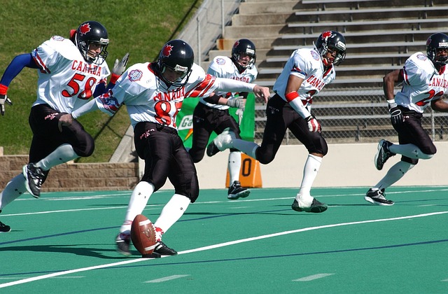 多特蒙德官 多特蒙德官