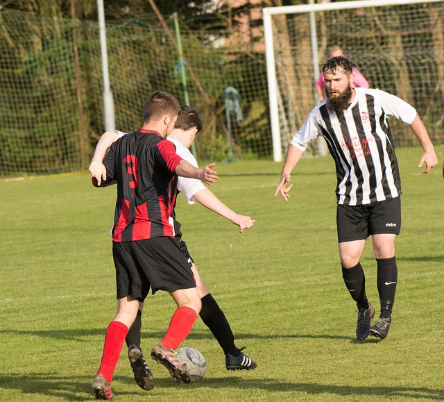 哈尔滨冬季 哈尔滨冬季